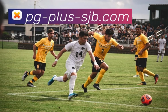 PG电子，PG电子官网，PG电子官方网站，PG电子入口，PG电子APP平台生态图